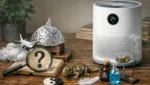 Luftreiniger: Mythen, kuriose Fakten & Wahrheiten
